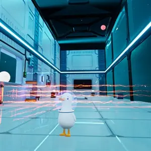 Dodo Duckie - Griglie Laser