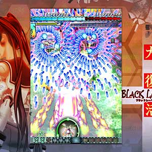 DoDonPachi Resurrection Etichetta Nera