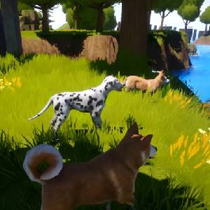 Dogs Club - Dalmata, Akita e Corgi