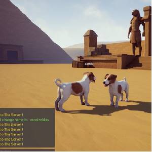 Dogs Club - Terrier JR