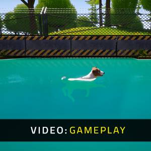 Dogs Club Video di Gioco