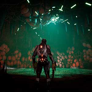 Dolmen Tana Dei Ragni