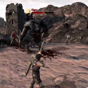 Dragon Age 2 - Orco