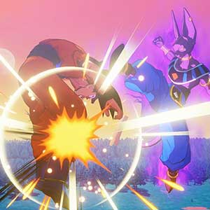 contro Beerus