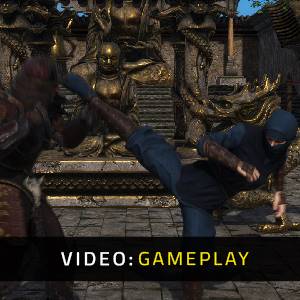 Dragon Fury Video di gioco