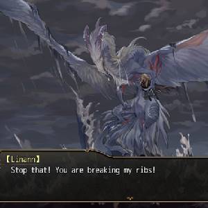 Dragon Spirits Linann