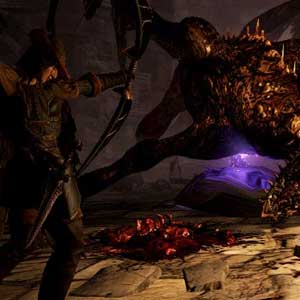 Dragons Dogma Dark Arisen Nemici