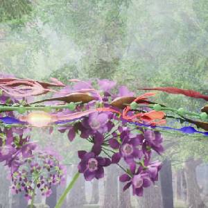 Drunk On Nectar – Phalaenopsis