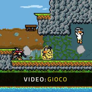 Duck Game - Videogioco