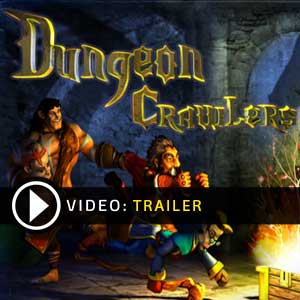 Acquista CD Key Dungeon Crawlers HD Confronta Prezzi