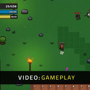 DunHero - Video Gameplay