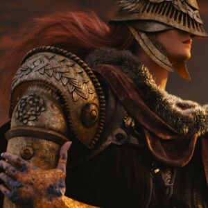 Il creatore di personaggi dell'Elden Ring è trapelato e tolto, ma Internet ha le ricevute