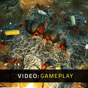 Empires of the Undergrowth Video di Gioco