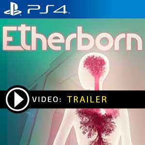 Etherborn PS4 Prices Digital or Box Edition