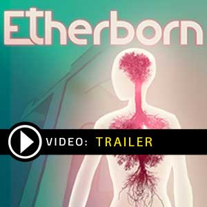 Acquistare Etherborn CD Key Confrontare Prezzi