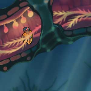 Even the Ocean Posti strani