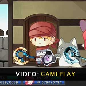 Fairy Knights Video di Gioco