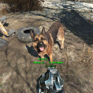Fallout 4 - Vista