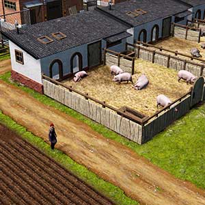 Farm Manager 2021 - Porcile