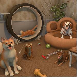 Farm Pets Bundle Animali Domestici