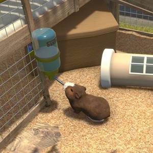 Farm Pets Bundle Criceto