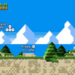 Feral Flowers Inizio