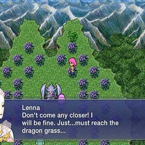 raggiungere l'erba del drago