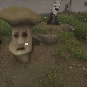 Finding Anastasia - Fungo