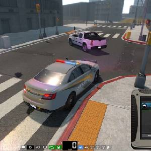 Flashing Lights Police Fire EMS - Pedone