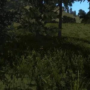 Fleeting Ages - Vegetazione