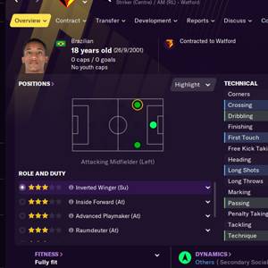 Football Manager 2021 In-game Editor Panoramica