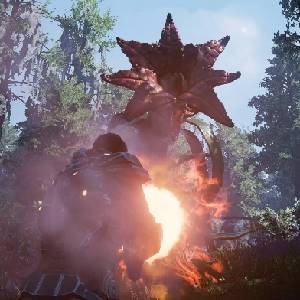 Fragmented - Creatura