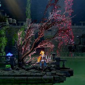 Frontier Hunter Erza's Wheel of Fortune - Erza