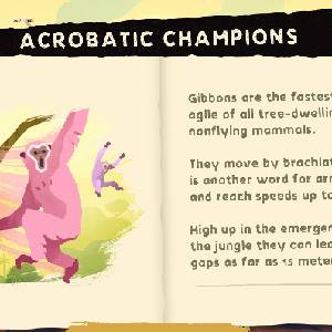 Gibbon Beyond the Trees - Campioni Acrobatici