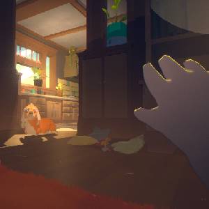 Goodnight Universe - Cane