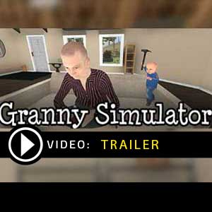 Acquistare Granny Simulator CD Key Confrontare Prezzi