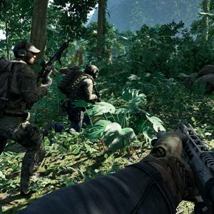 Gray Zone Warfare - Foresta