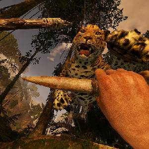 Green Hell VR - Balzo