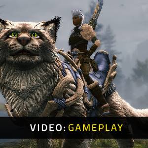 Guild Wars 2 Janthir Wilds Expansion Video di Gioco