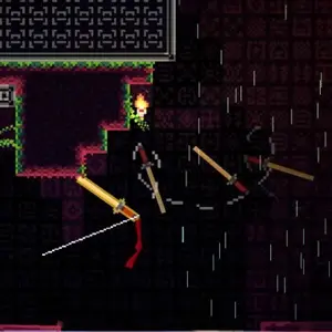 Hack And Climb - Foresta Pluviale