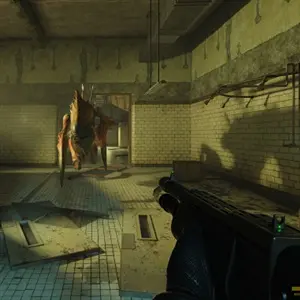 Half Life 2 - Soldato Antlion