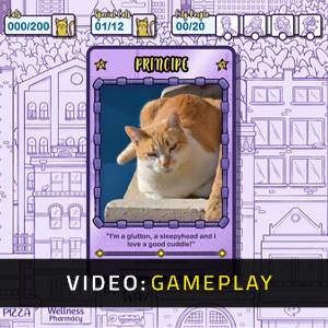 Hidden Cats in New York - Gameplay