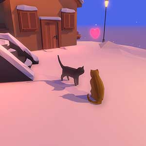 Hidden Paws Coppia Di Gatti