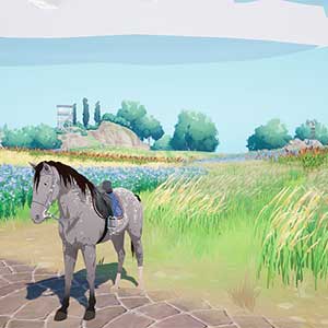 Horse Tales Emerald Valley Ranch - Cavallo alle Coltivazioni