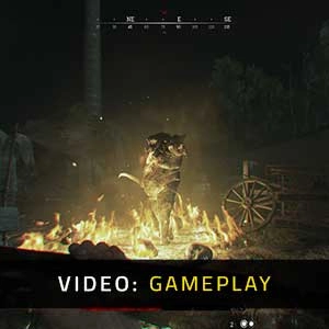 Hunt Showdown Gioco