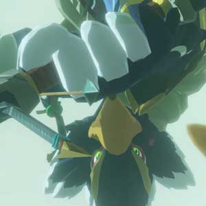 Hyrule Warriors Age of Calamity Link