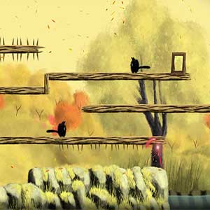 perspective of a spectator