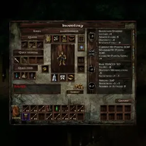 Icewind Dale: Enhanced Edition – Inventario