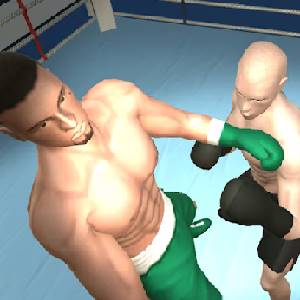 International Boxing - Schivare