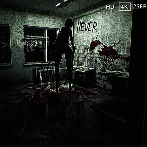 Invisible Fear - Registrare